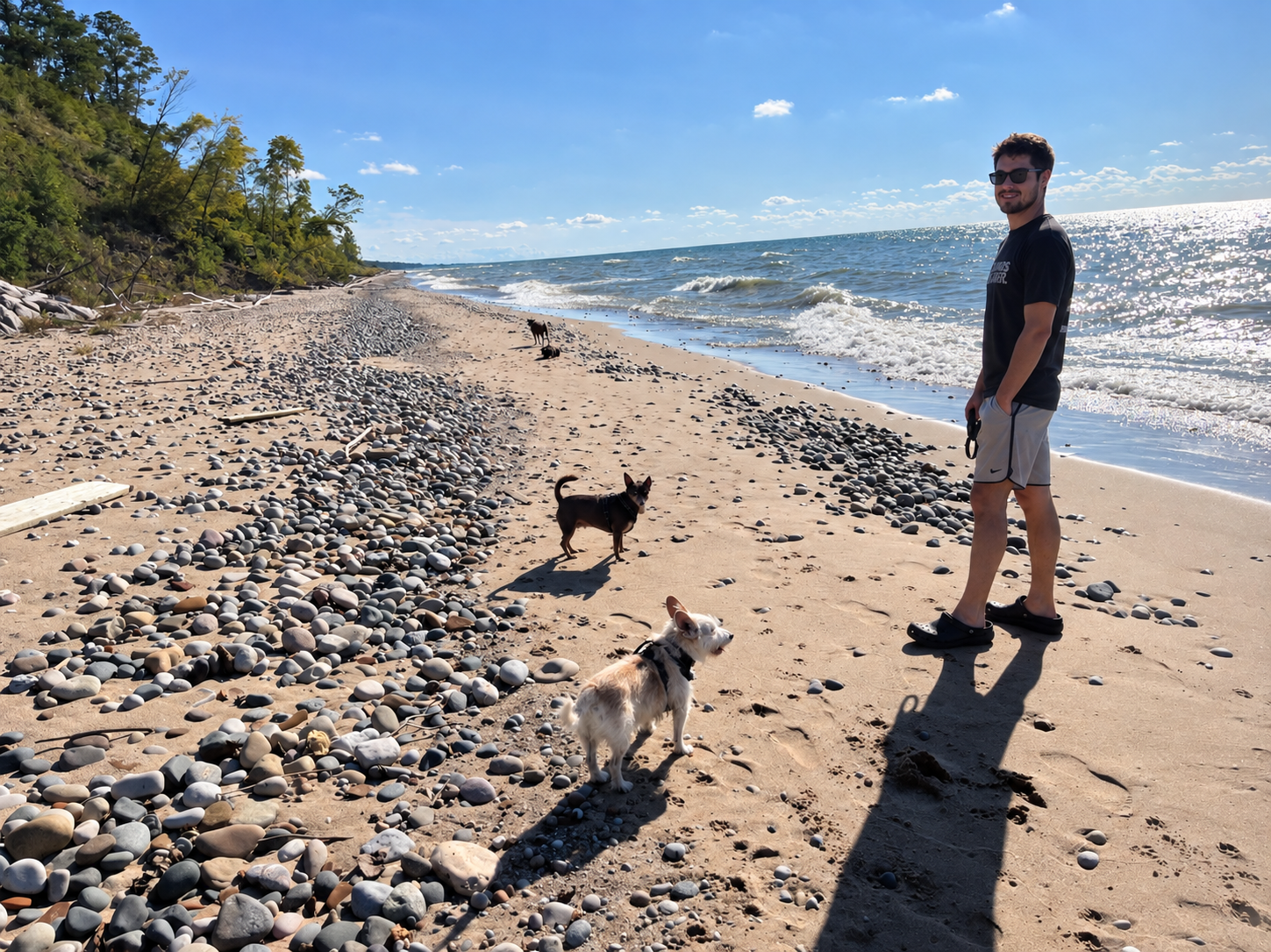 Steve walking with dogs on the beach